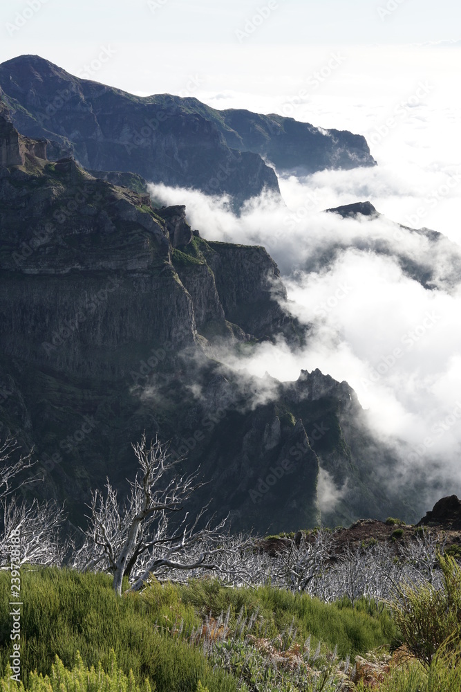 Pico Ruivo Madeira Portugal