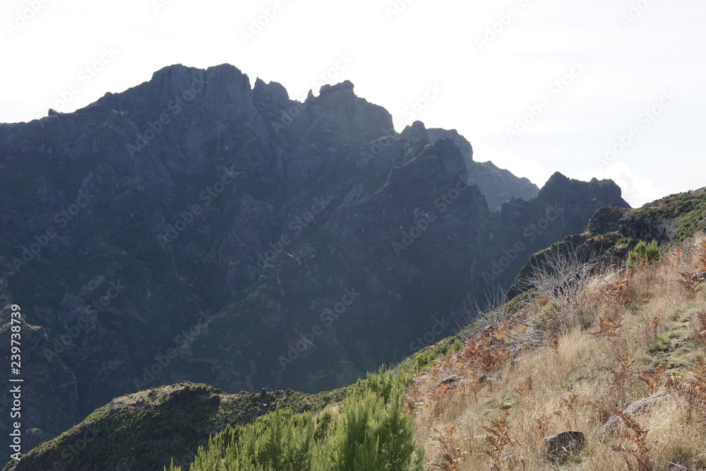 Pico Ruivo Madeira Portugal