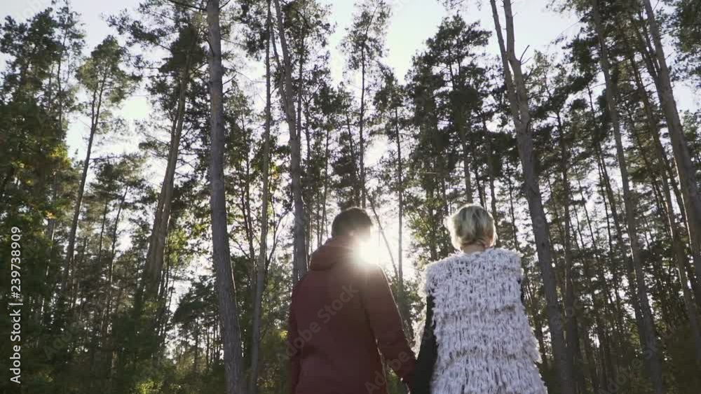 Young couple hold the hands and walking in a pine forest in the background of sunshine. Couple spends leisure time outdoors. Slow motion. Young couple hold the hands and walking in a pine forest in the background of sunshine. Couple spends leisure time outdoors. Slow motion.