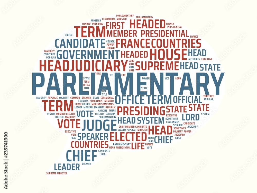 wordcloud with the main word parliamentary and associated words, abstract illustration