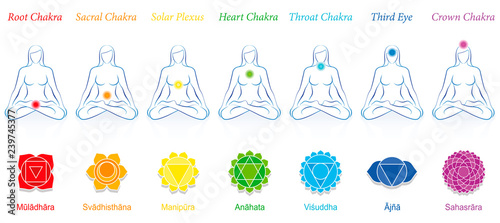 Fototapeta Naklejka Na Ścianę i Meble -  Chakras of a meditating woman. Symbols with sanskrit names and appropriate colors. Isolated vector illustration on white background.
