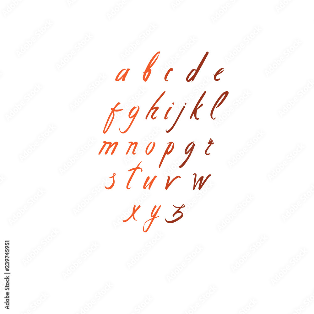 Vector handwritten brush script, calligraphy alphabet on white