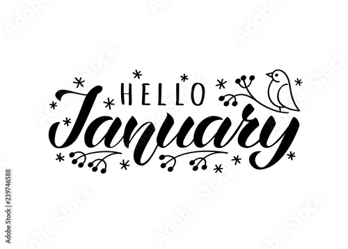 Hello january hand drawn lettering card with doodle snowlakes and bird. Inspirational winter quote. Motivational print for invitation  or greeting cards, brochures, poster, t-shirts, mugs.