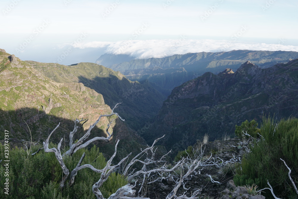 Pico Ruivo Madeira Portugal