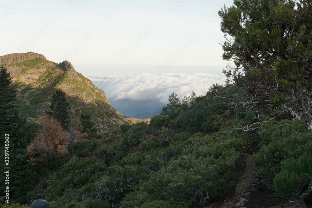 Pico Ruivo Madeira Portugal