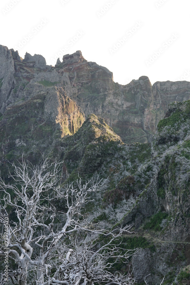 Pico Ruivo Madeira Portugal