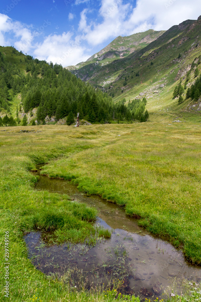 Valle Maggia (Canton Ticino, Svizzera) Valle Maggia (Canton Ticino, Svizzera)