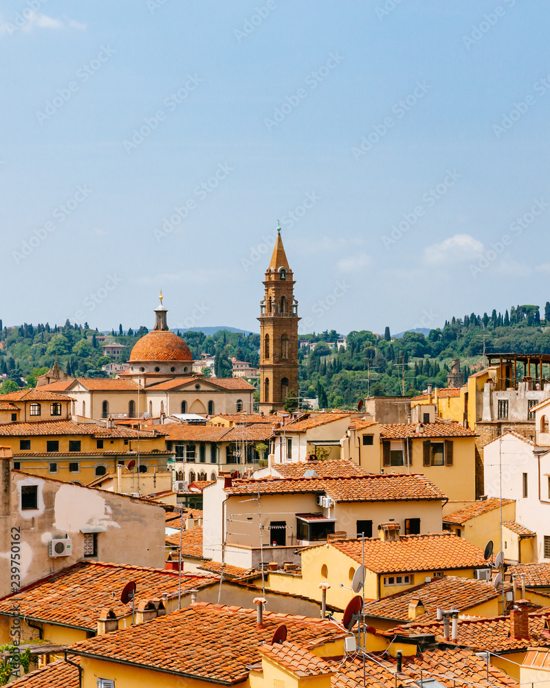 Buildings and renaissance architecture of the historical center of Florence, Italy