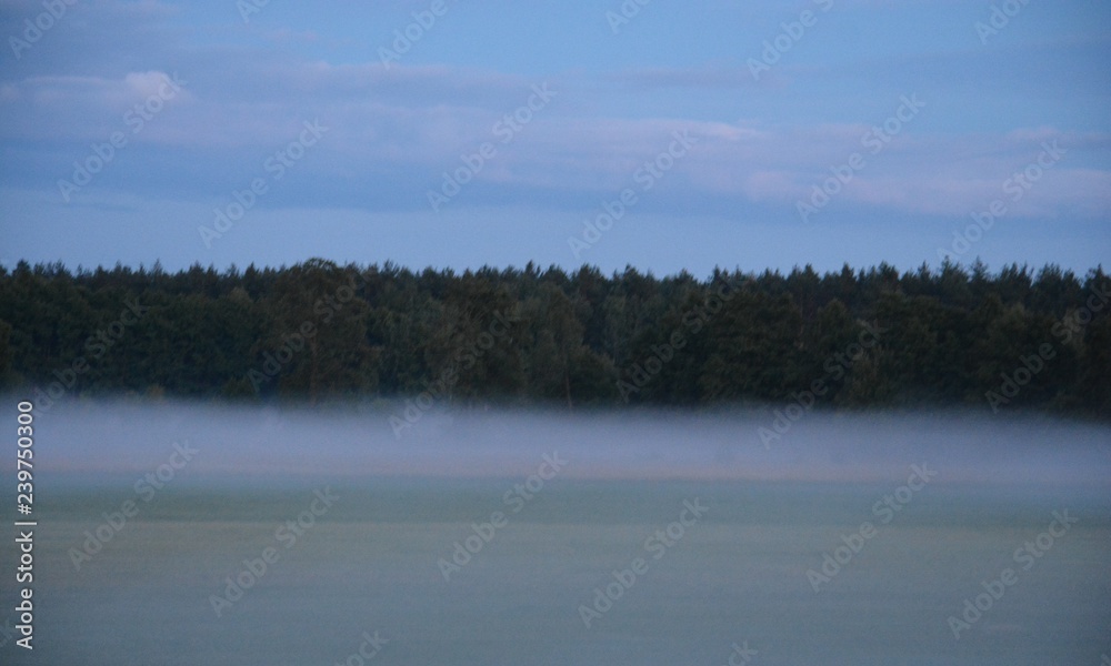 Fototapeta premium 8544