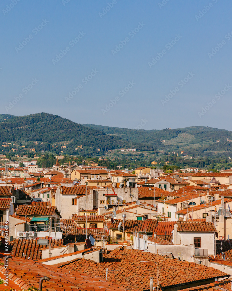 Houses and architecture of historical center of Florence, Italy under hills and sky