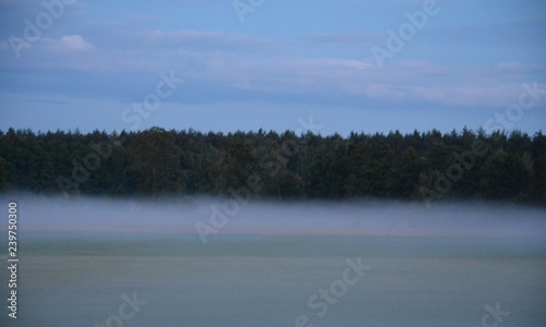 Fototapeta Naklejka Na Ścianę i Meble -  8544