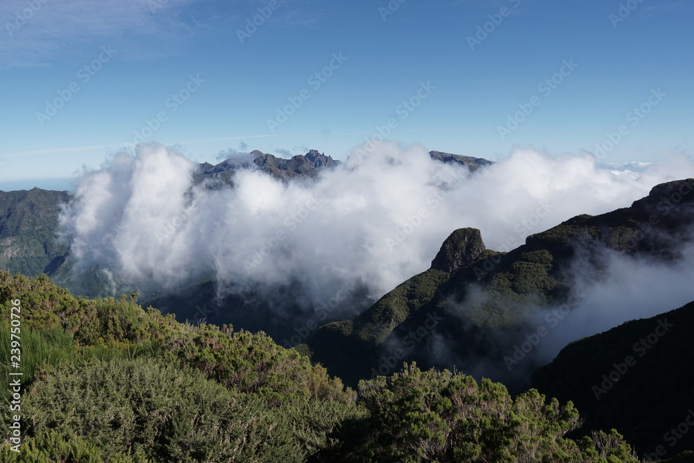 Pico Ruivo Madeira Portugal