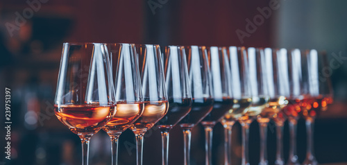 Fototapeta Wine glasses in a row