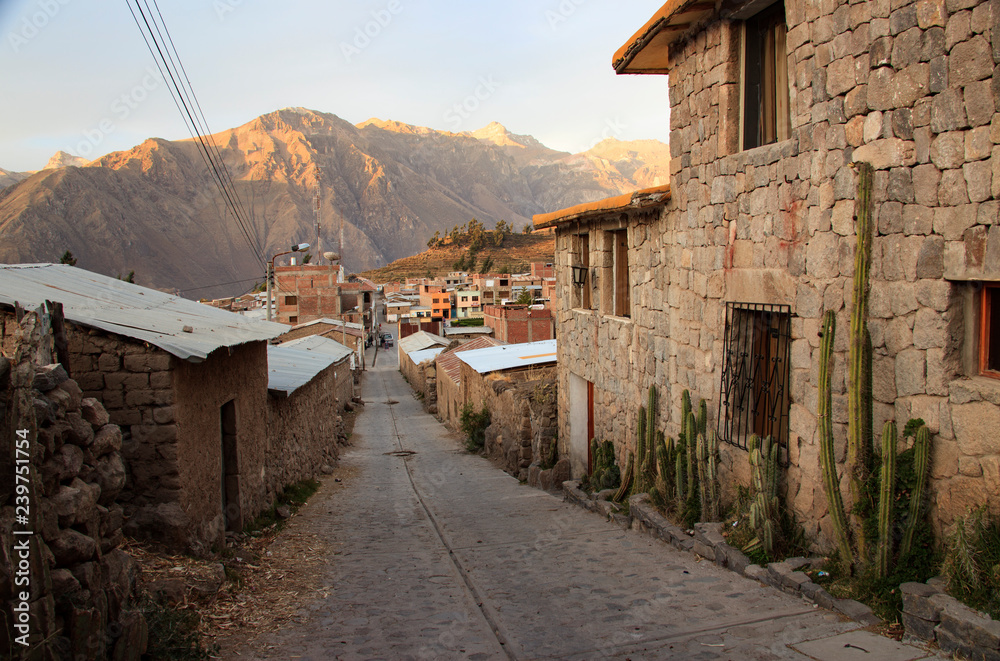 Peruvian animals, houses, country landscape, colca Canyon