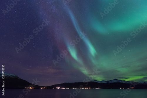 The polar arctic Northern lights aurora borealis sky star in Scandinavia Norway Tromso in the farm winter forest   © bublik_polina