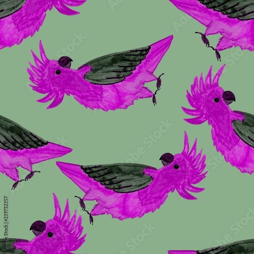 Tropical birds seamless pattern. Beautiful cartoon pattern with colorful parr...