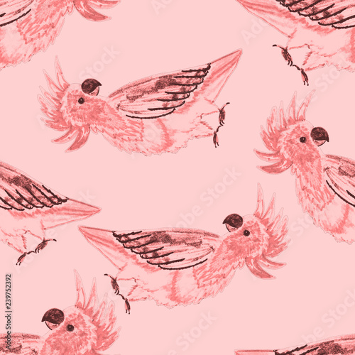 Tropical birds seamless pattern. Beautiful cartoon pattern with colorful parr...