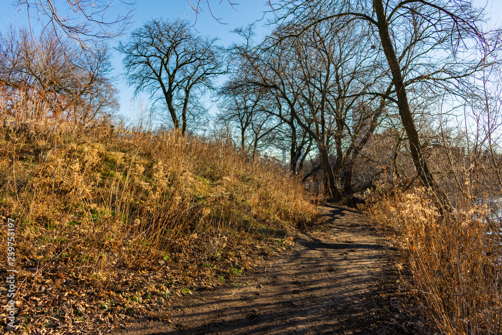 Afternoon Sun Covered Trail Beside North Pond in Lincoln Park Chicago Afternoon Sun Covered Trail Beside North Pond in Lincoln Park Chicago