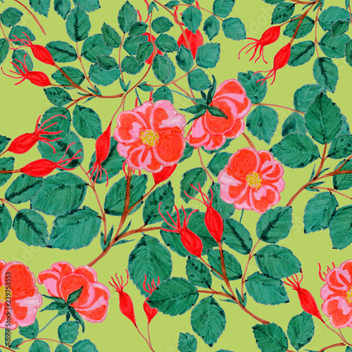 Floral seamless pattern with hand drawn wild roses.