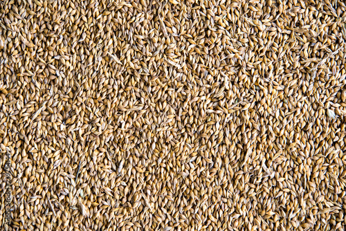 grains, cereal top view close up