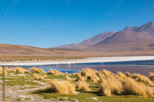 Gorgeous landscapes of Sur Lipez  South Bolivia.