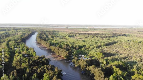 drone flight woods