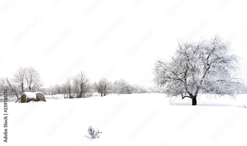 Fototapeta premium Calm winter landscape