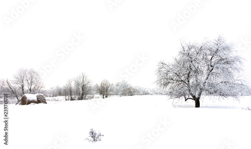 Wallpaper Mural Calm winter landscape Torontodigital.ca