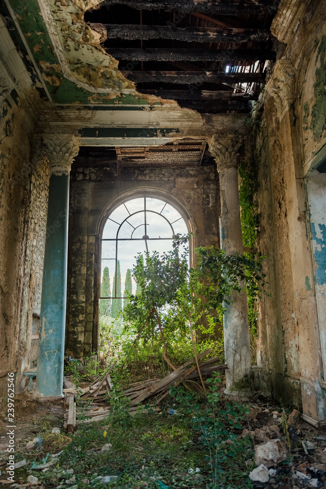 Ruined large hall interior overgrown by plants and moss