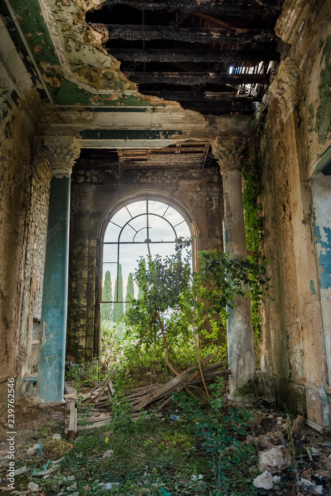 Obraz premium Ruined large hall interior overgrown by plants and moss