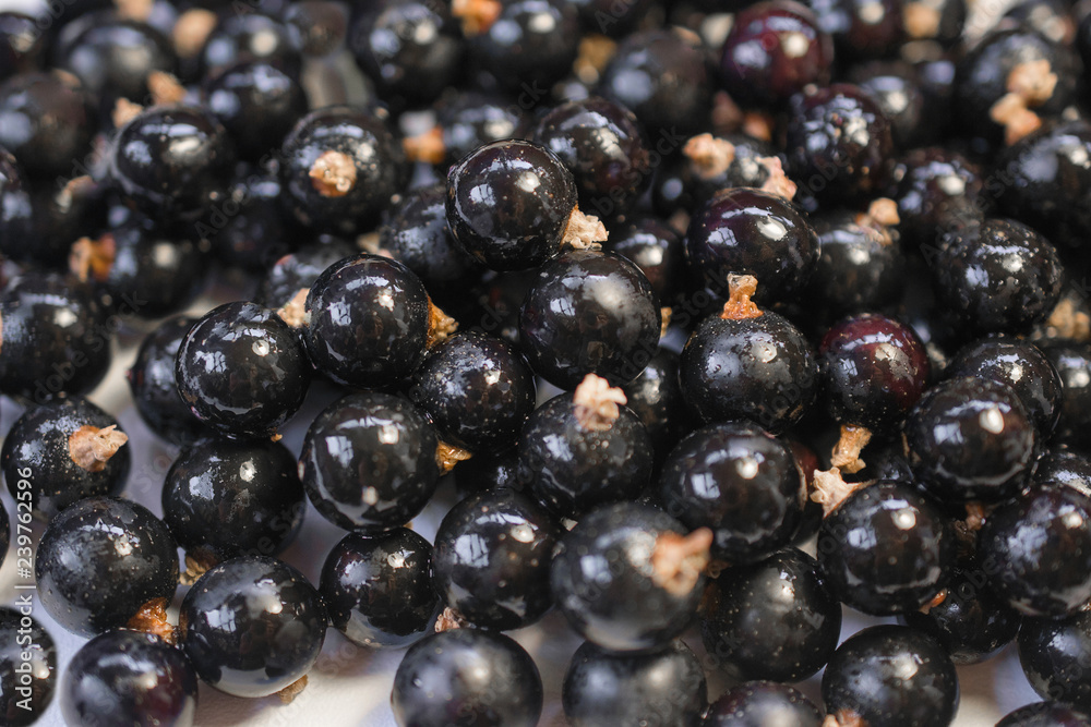 Background texture of dripping black cuurant. Background texture of dripping black cuurant.