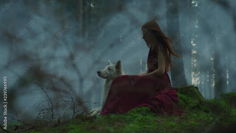 custom made wallpaper toronto digitalGirl with a dog in a misty forest