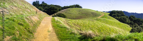 Tablou canvas Hiking trail through verdant green hills in Santa Cruz mountains, San Francisco