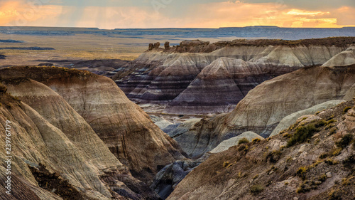 Petrified Forest National Park is in northeastern Arizona. The Rainbow Forest is full of colorful petrified wood. In the park s center are the petroglyphs of Newspaper Rock. 