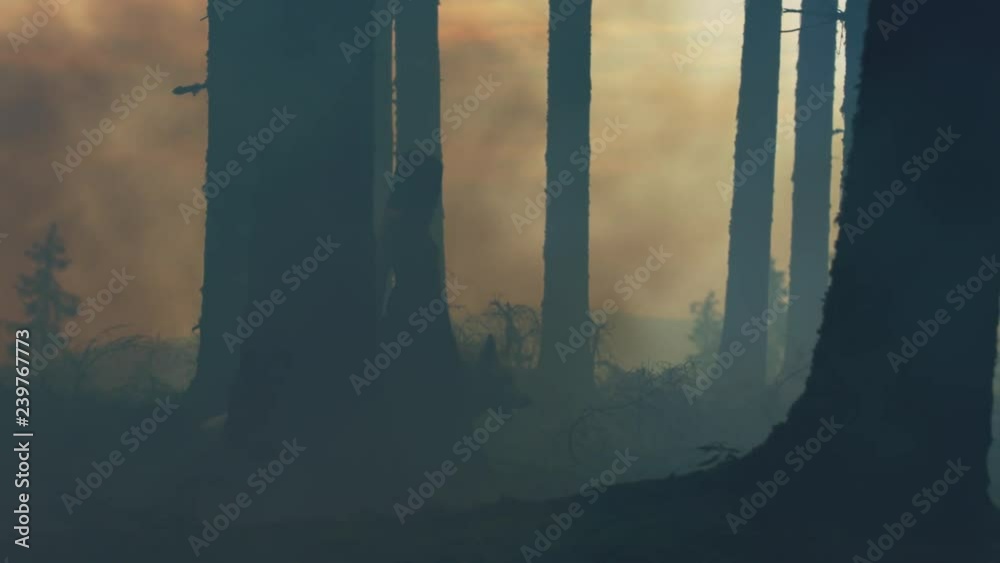 custom made wallpaper toronto digitalWoman and dire wolf walking into the woods