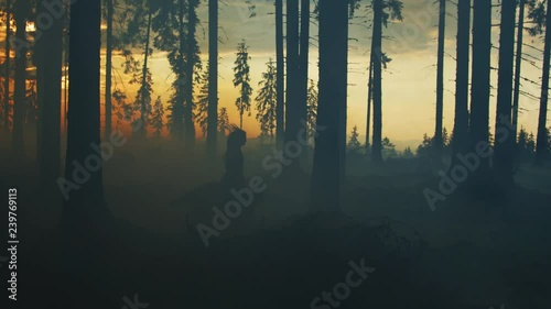 Girl running with a dog in a forest, at sunset