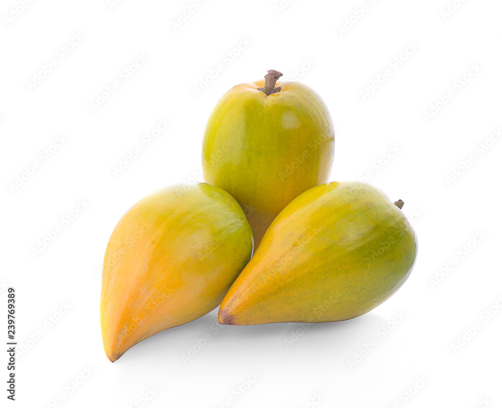 Pouteria campechiana isolated on the white background Pouteria campechiana isolated on the white background