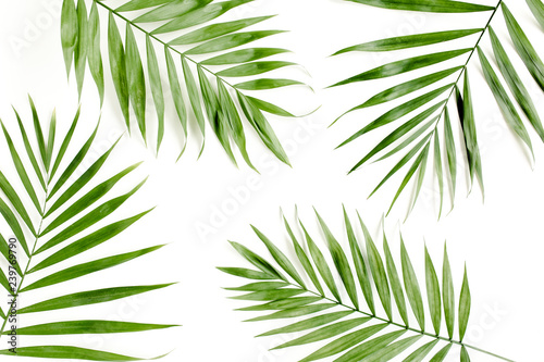 Tropical green palm leaves on white background. flat lay, top view © K.Decor