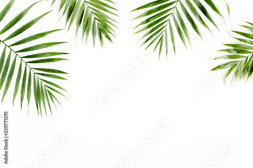 Tropical green palm leaves on white background. flat lay  top view