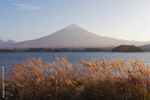 Wallpaper Mural Mt.Fuji in autumn, Japan Torontodigital.ca