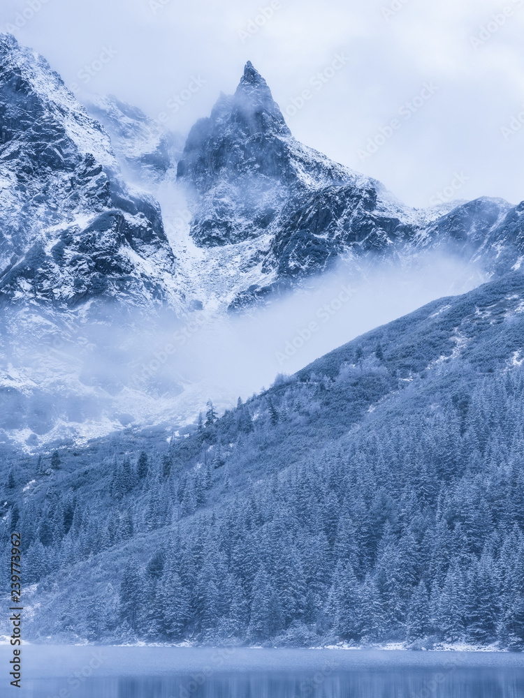 mountains in winter