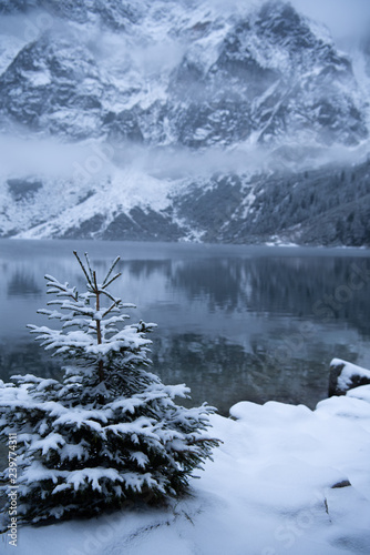 winter landscape with lake and forest