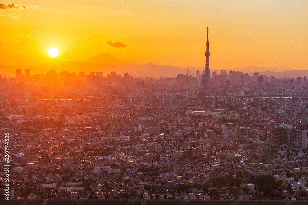 Tokyo city, Japan