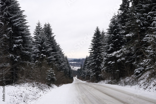snow chrestmas trees in deep winter mountain forest