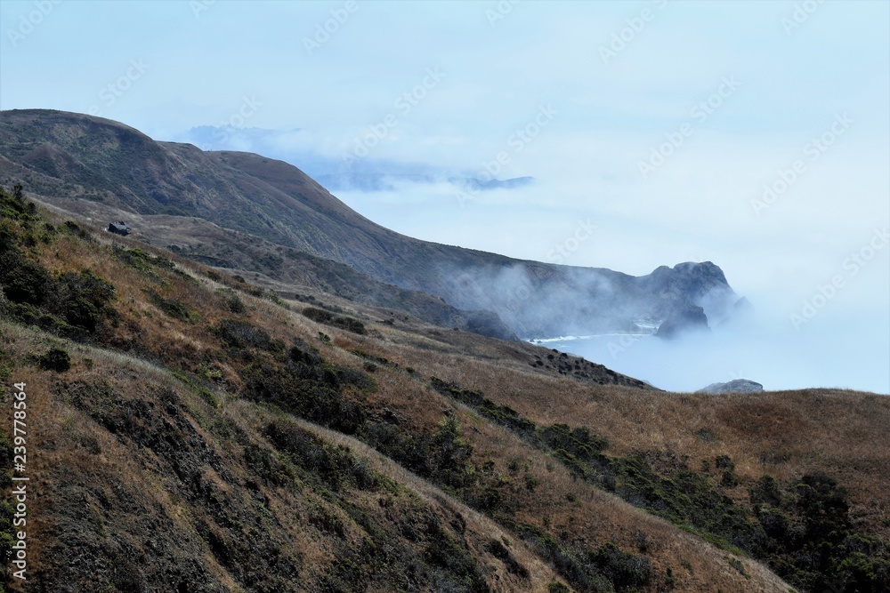 Foggy Day Coastline