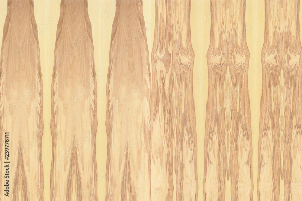 light brown ash-tree timber tree wood structure texture background ...