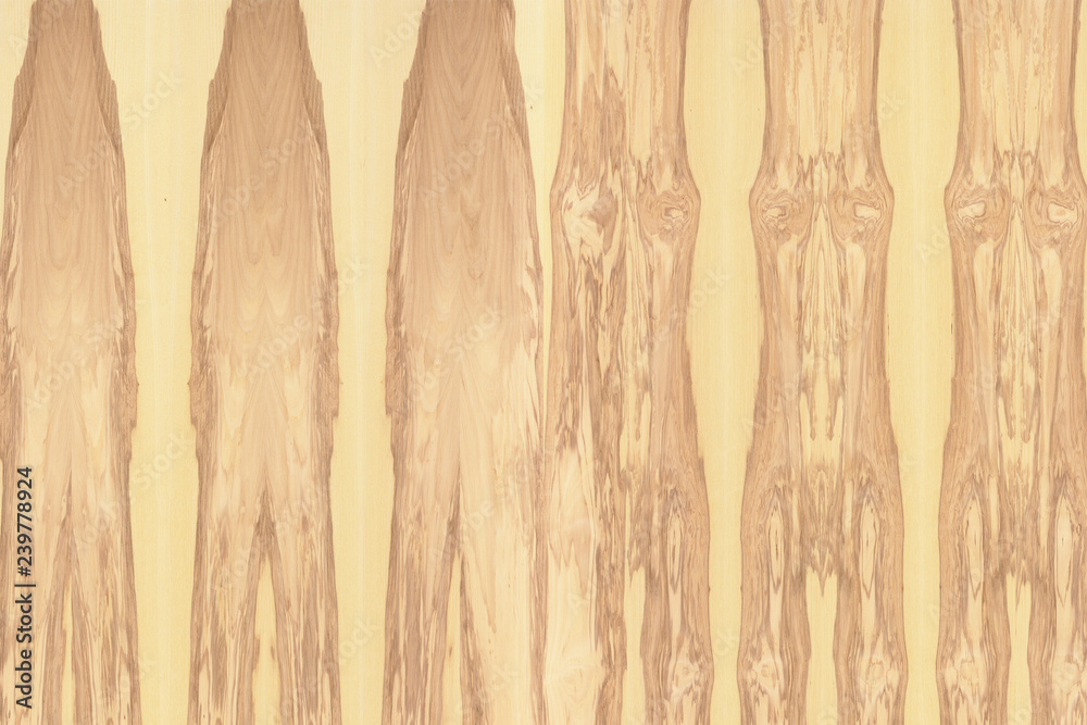 light brown ash-tree timber tree wood structure texture background ...