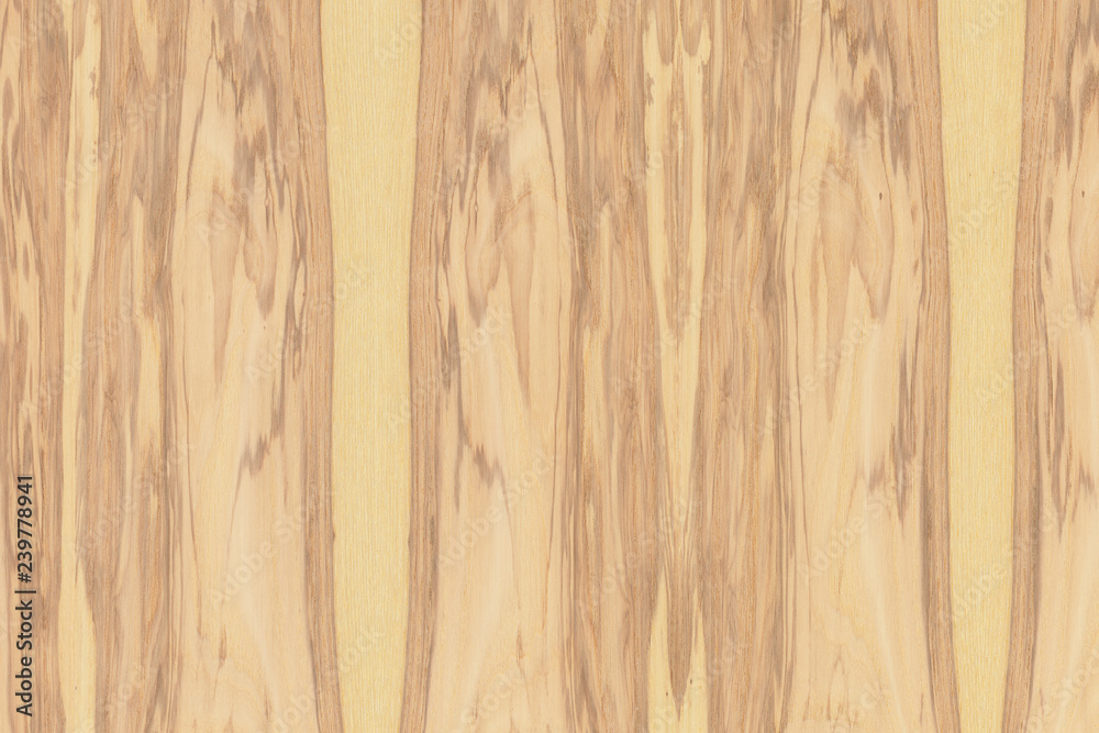 light brown ash-tree timber tree wood structure texture background ...