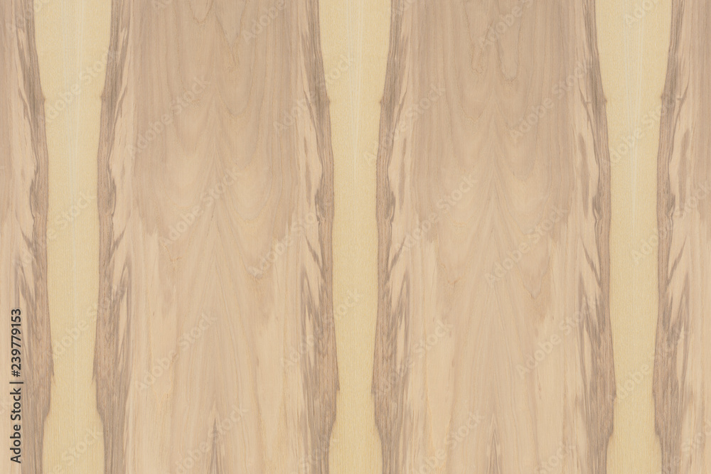 light brown ash-tree timber tree wood structure texture background ...