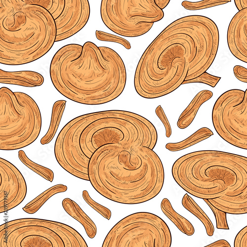 Reisihi. Mushroom. Sketch. Monophonic. Background, wallpaper, seamless, texture. Color